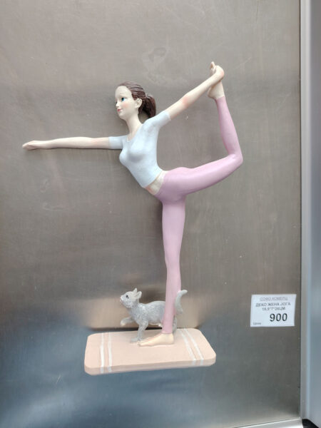 Држач - жена - јога